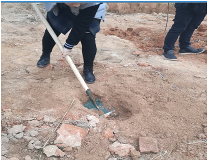 XTM Go Kart For Sale XTM Go Kart For Sale