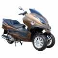 Trike Motorcycle 300cc Gas Scooter 