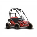 Kids Off Road Buggy 2 seater Manufacturer 