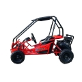 Kids Off Road Buggy 2 seater Manufacturer 