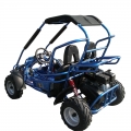 Off Road Go Kart For Kids 200cc 